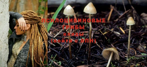 jwh Абинск